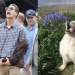 A Twitter Account Is Out To Prove That Chris Evans Is A Golden Retriever, And We Can't Stop Laughing